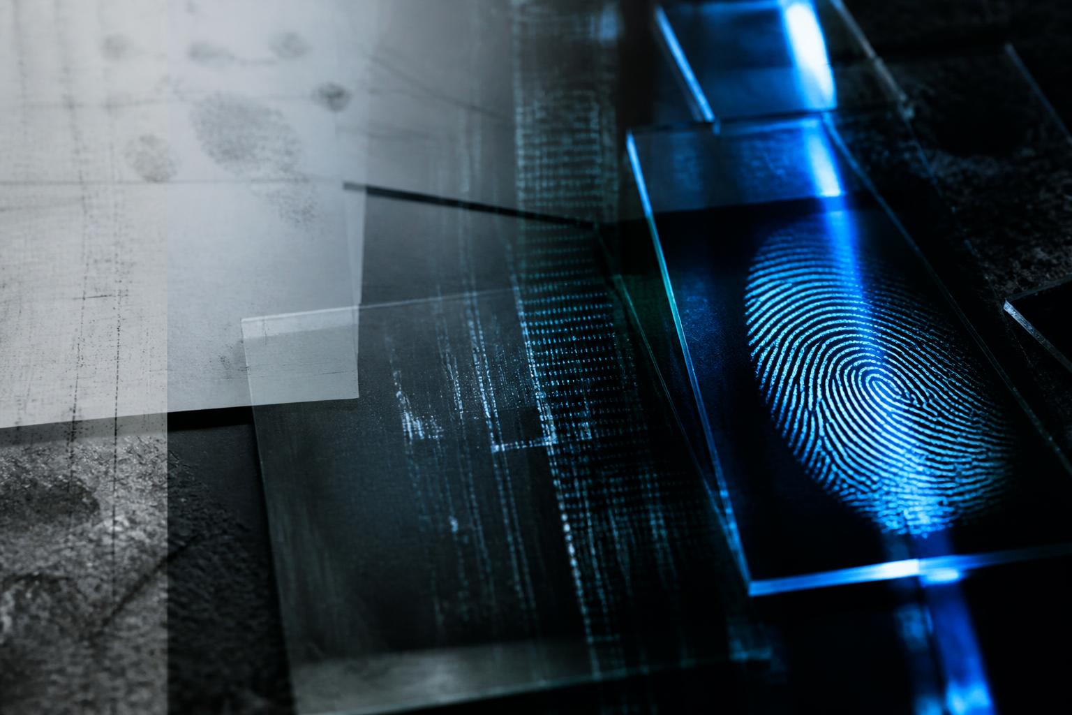 Composição editorial sobre investigação digital e cibercrimes